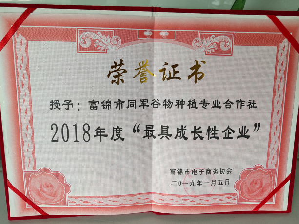 2018年度成长性企业