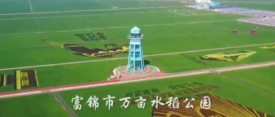富锦市万亩水稻公园